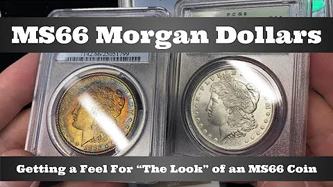PCGS / NGC MS66 Morgan Dollars - Getting a Feel for "The Look" of an MS66 Graded Coin
