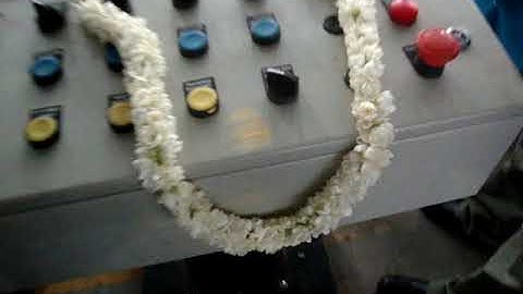 skip strander polymeq machines