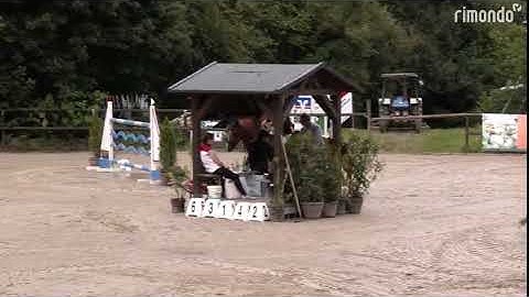 DHT 27-12-2025: Pepper Juice B, mare, 2014 by Pilothago