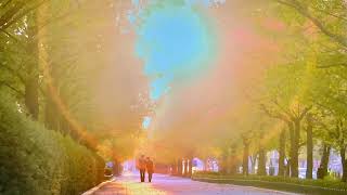 Clara C  Somebody  Ost From 18 Again