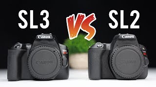 Canon SL3 (250d) vs Canon SL2 (200d) Ultimate Comparison