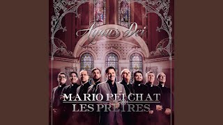 Video thumbnail of "Mario Pelchat - Allez sur les places"