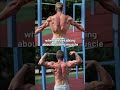 Pull Ups - How High Over the Bar?