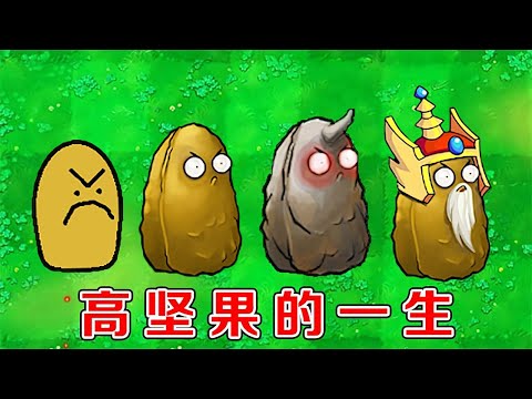 植物大战僵尸：高坚果的变化史！植物家园的守护神【熊猫解说君】