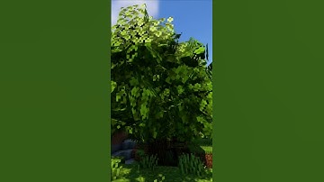 Best PHYSICS MOD in Minecraft... #shorts