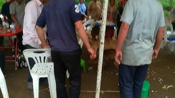 Dev sib  tog zoo saib heev