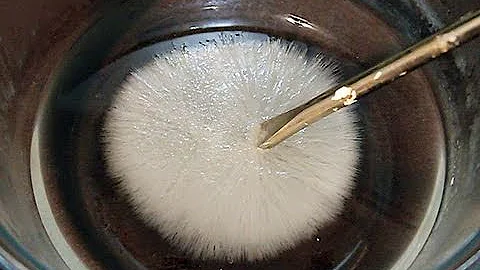 Qual água congela primeiro quente ou fria?