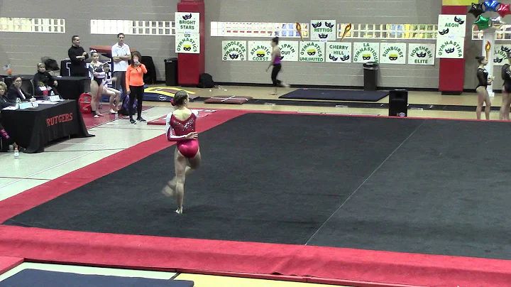 Ashley Jamison Level 9 NJ State Championships Floo...