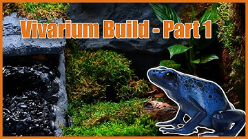 HOW TO BUILD A NATURALISTIC VIVARIUM/PALUDARIUM - PART 1 (Dart Frog Edition)