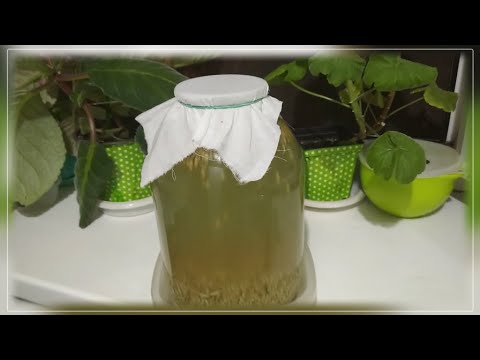 КВАС - ДеЛаЕм Раз, а Пьем ВСЕ Лето