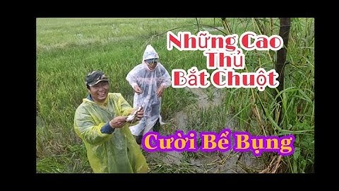 Bắt Chuột Đồng Sau Những Ngày Mưa Bão.Cười Bể Bụng | Anh Vinh Vlog |