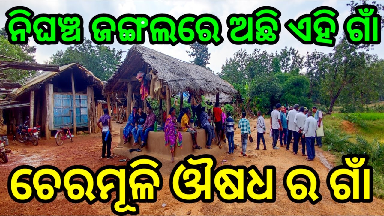 ଅନେକ ଦୁଃସାଧ୍ୟ ରୋଗ ଭଲ ହୁଏ ଏହି ଗାଁ ରେ | ODISHA VILLAGE | KEONJHAR