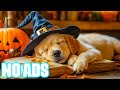 💤 12 Hours of Gentle Dog Music for Sleep | Deep Healing Sounds to Relax Anxious and Lonely Dogs