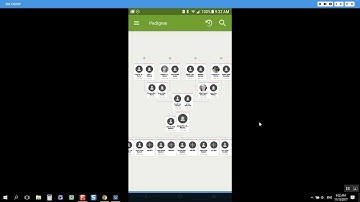 Refresh a Person in Family Search Tree App