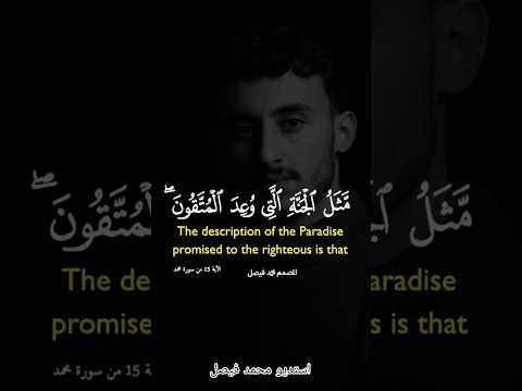 مثل الجنة القارئ سعد الغامدي استديو محمد فيصل اكسبلور جديدي حلات لايك تصميمي كلجديد ترند