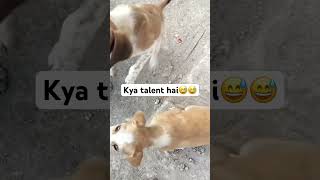 Dogslover #dogshorts #viralvideo #streetdog #viral #trandingshorts #animallife #love