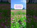 4 kiểu người sau dễ gặp QUÝ NHÂN ☘️🌸 #tramcamxuc #chiasecuocsong #quynhan #traogiatrithat #cuocsong