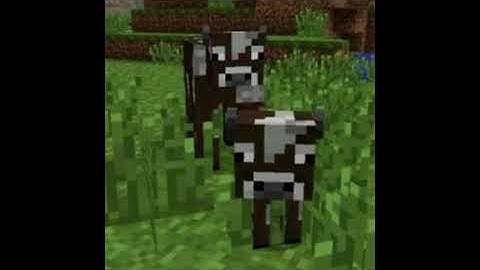 lieu - store (deleted song)