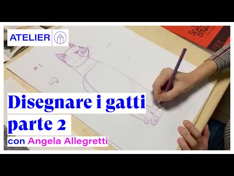 Video: Come Disegnare I Gatti In Più Fasi