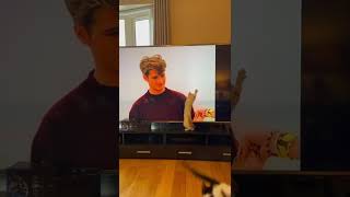 Kittens watching Beverly Hills 90210