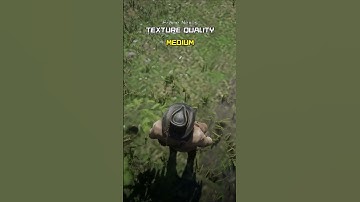 RDR2 Texture Quality Comparison: Ultra vs Low Graphics