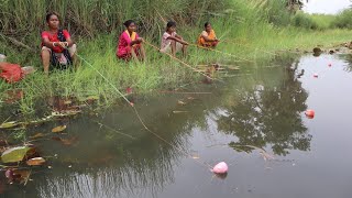 Fishing video || lady & girl's catching big fish with hook in village Lotus pond #video #cat