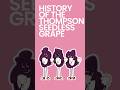 History of the Thompson Seedless Grape #shorts