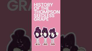 History of the Thompson Seedless Grape #shorts