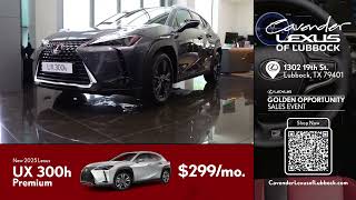 Lexus Lubbock UX300h Aug25