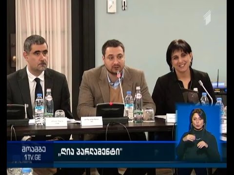 ინტერფრაქციული ჯგუფი ღია პარლამენტის სამუშაო ჯგუფს შეხვდა