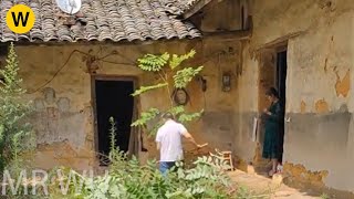 30 days making off from home, the poor guy renovates wooden house kitchen, fish pond