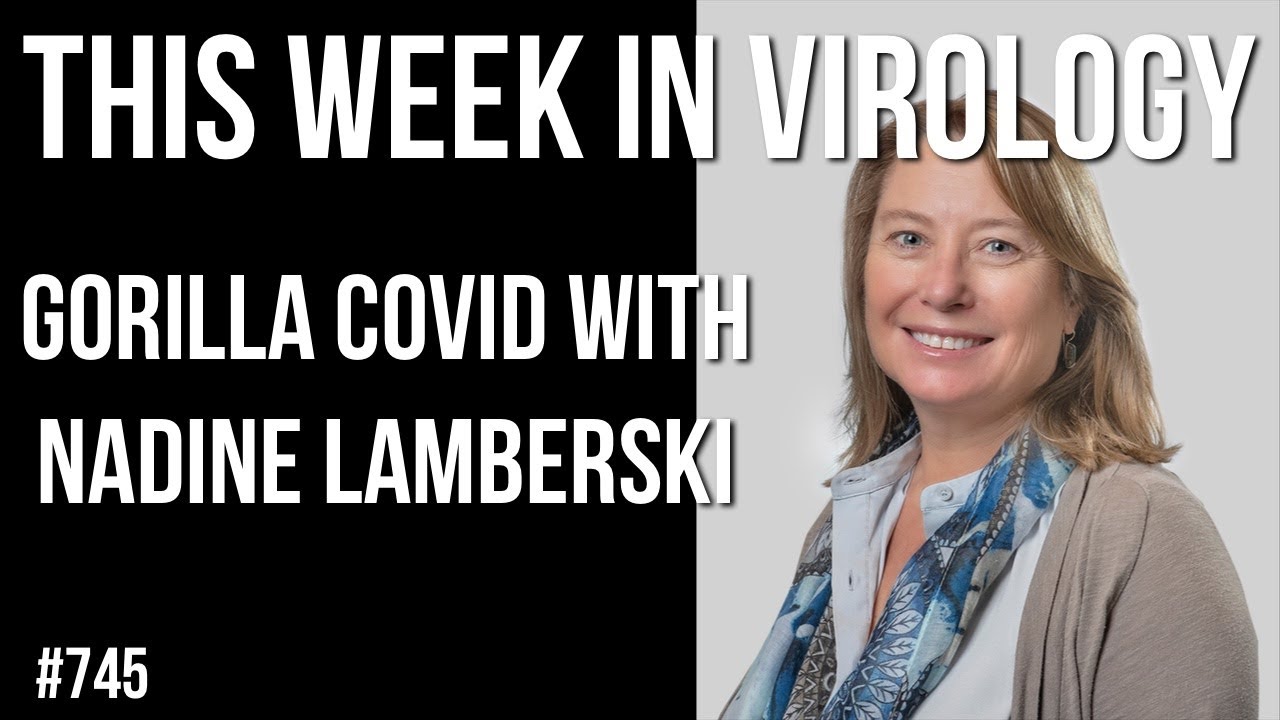 TWiV 745: Gorilla COVID with Nadine Lamberski