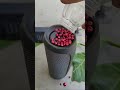 Red colour balls vs jbl bass test #jbl #speaker