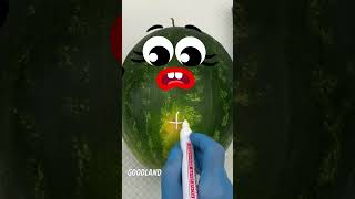 Goodland | Watermelon and pancake surgery 😂 #cartoon #doodles #animation