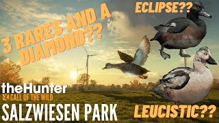 I Hunted SALZWIESEN PARK For 24 Hours And Found Crazy Rares! - Hunter Call of The Wild Gameplay