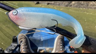 Making Realistic Soft Plastic Open Pour Swimbaits 