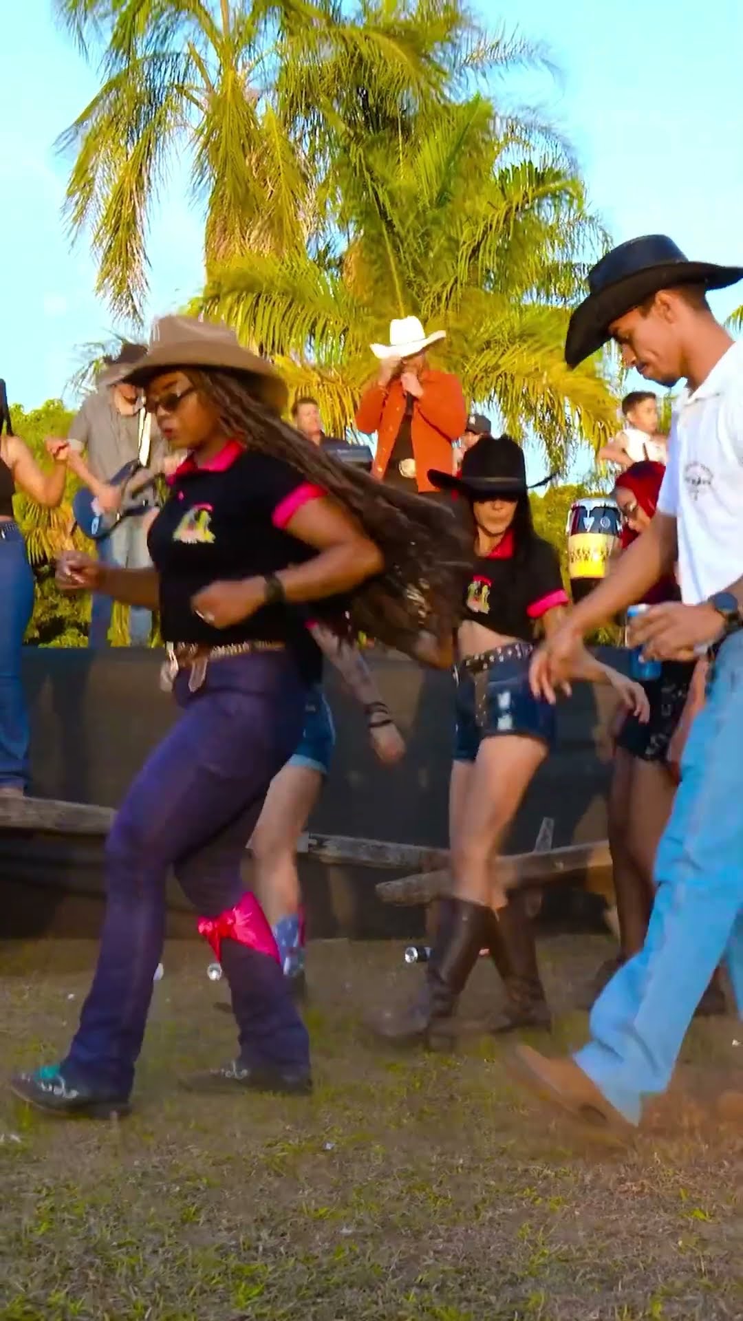 Leãozinho pipocado com a música forró do meu Goiás #boanoiteee