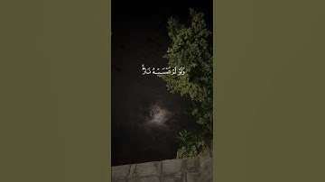 الشيخ ماهر المعيقلي سوره النور ♡🌿 #قران_كريم