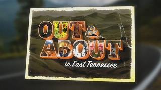 Out & About in East Tennessee: South Knox sunflowers, Soaky Mountain, statement consignment sale