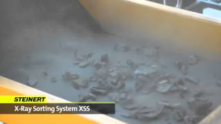 STEINERT XSS   sensor sorting solution for scrap materials