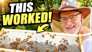 I Tried Checkerboarding Honey Supers... Here's What Happened