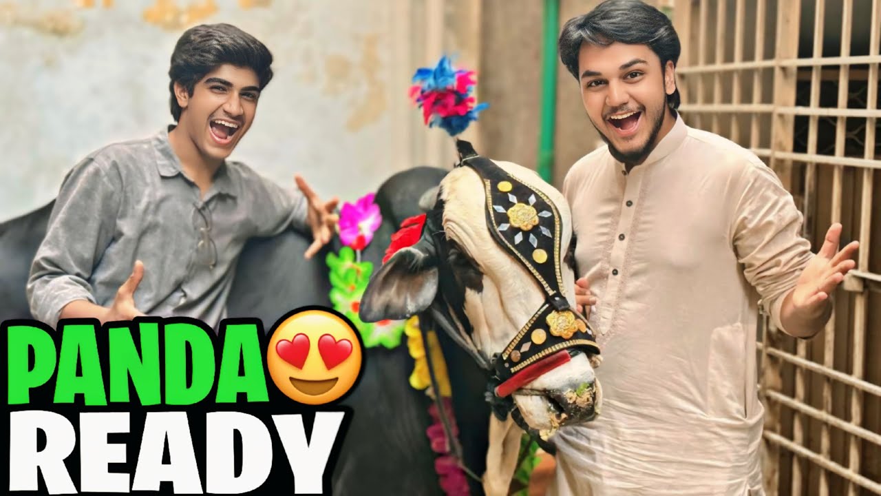 PANDA READY WITH NEW JEWLERY // NEW QURBANI PLANNING