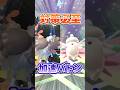 ※対策しないと詰み 加速バトンで無敵のメガピクシー降臨!! #ポケモンチャンピオンズ #ポケチャン