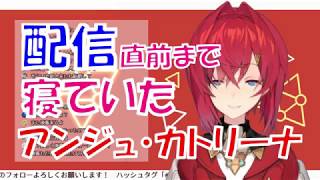 アンジュ・カトリーナはにじさんじの新人方に言いたいことがあるようです