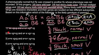 Tricky Genetics Problem and Solution