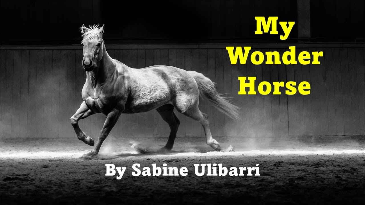 My Wonder Horse Mi caballo mago by Sabine Ulibarri YouTube