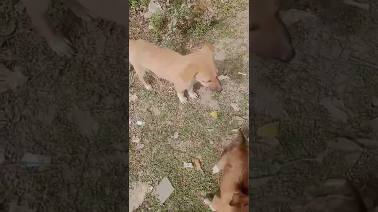 tumse mile bin  chain 