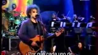 the cure this is a lie live 96 subtitulada Resimi