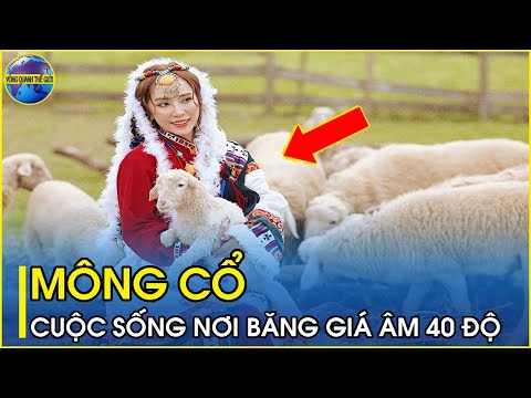 Video Sự thật lạ lùng về đất nước Mông Cổ | Bí ẩn cuộc sống... - youtube