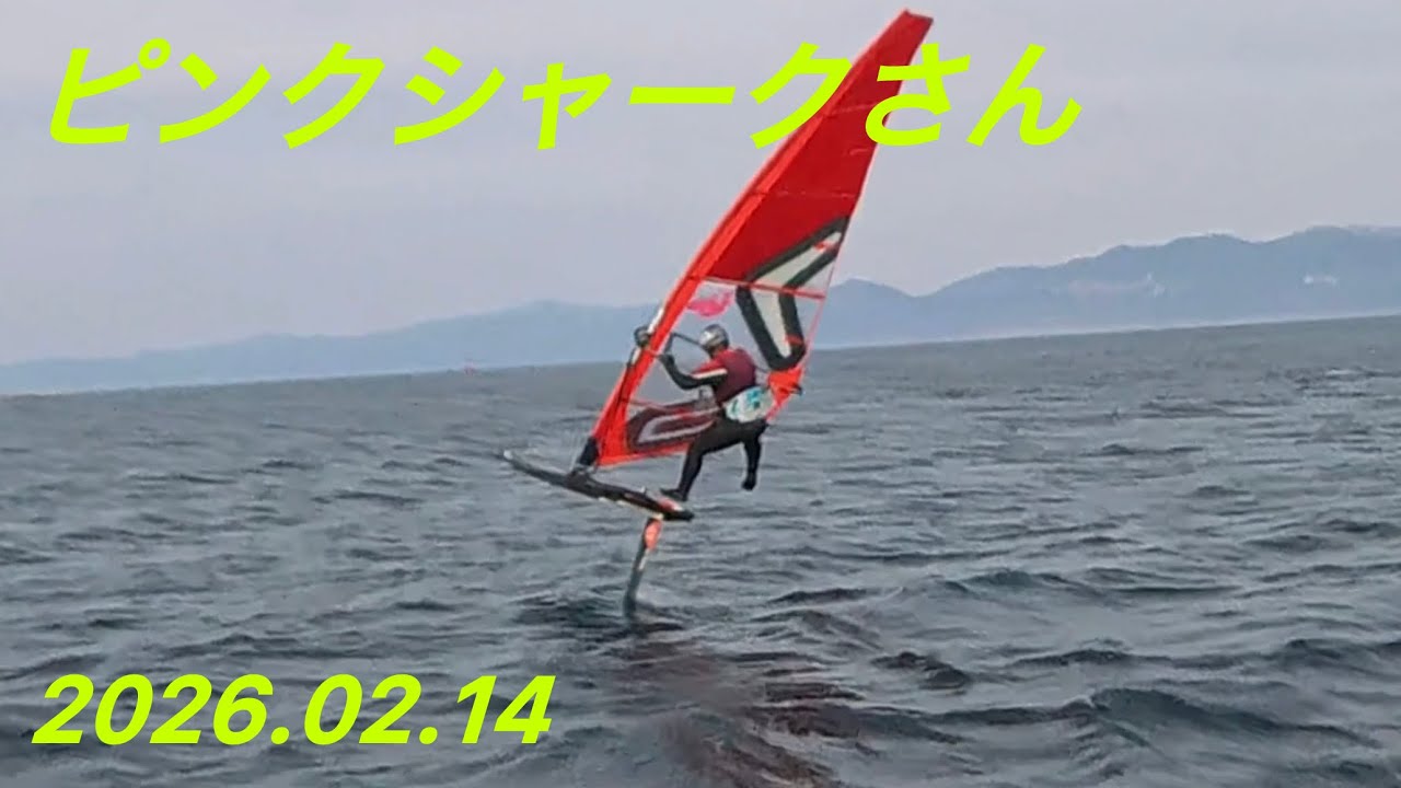 2026.02.14、ピンクシャークさん、水島、6.0㎡、#windfoil 